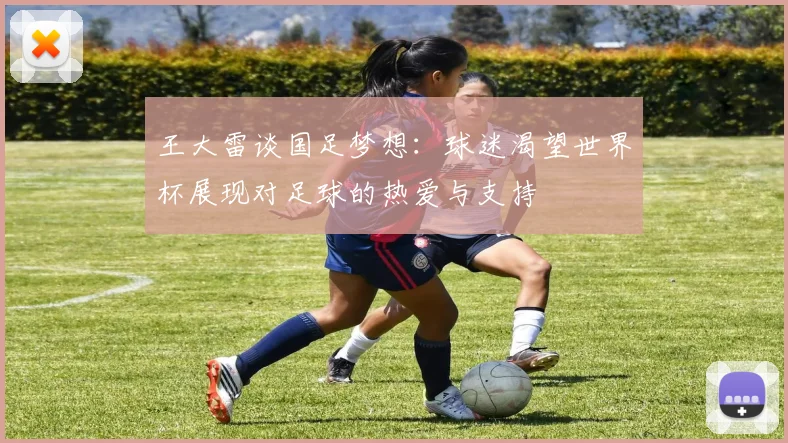 王大雷谈国足梦想：球迷渴望世界杯展现对足球的热爱与支持
